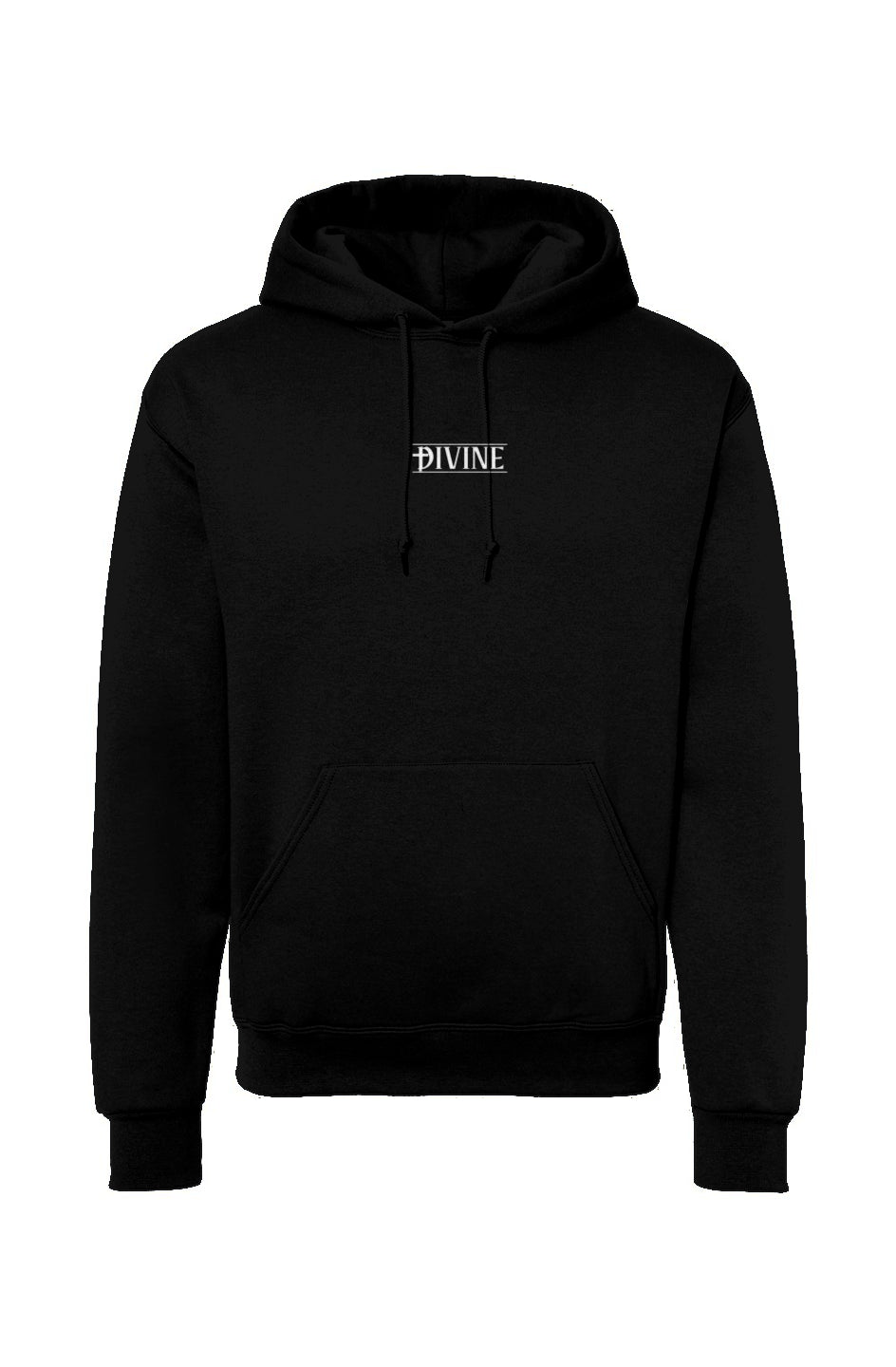 Divine Christ is King Hoodie